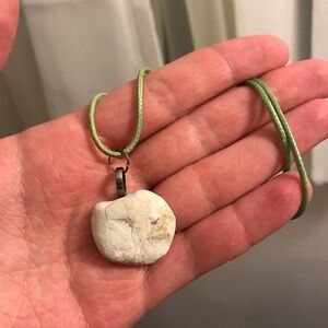 Real Lake Erie rock necklace